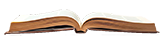  openn book